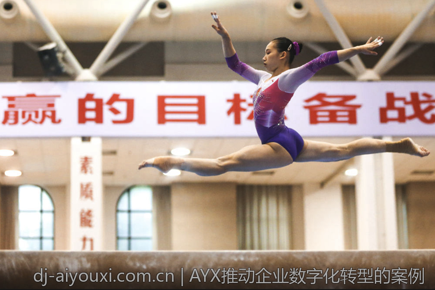 AYX推动企业数字化转型的案例