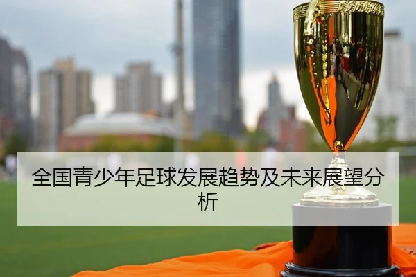 全国青少年足球发展趋势及未来展望分析